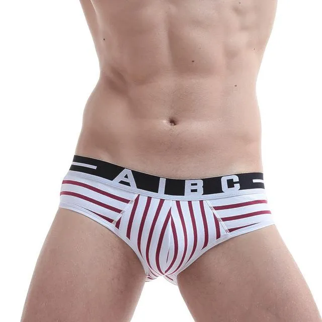 AIBC Striped Brief