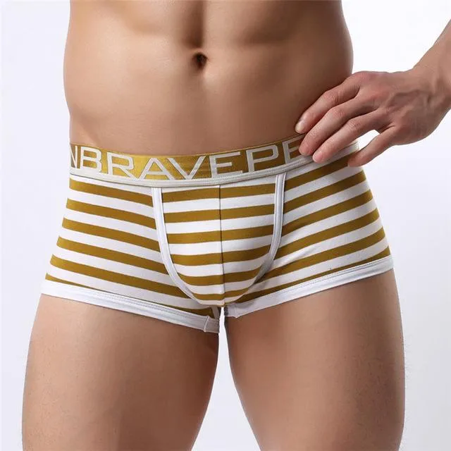 Brave Person Striped Boxer Briefs
