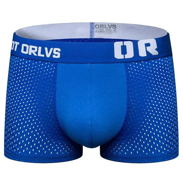 Got ORLVS Mesh Boxer Briefs