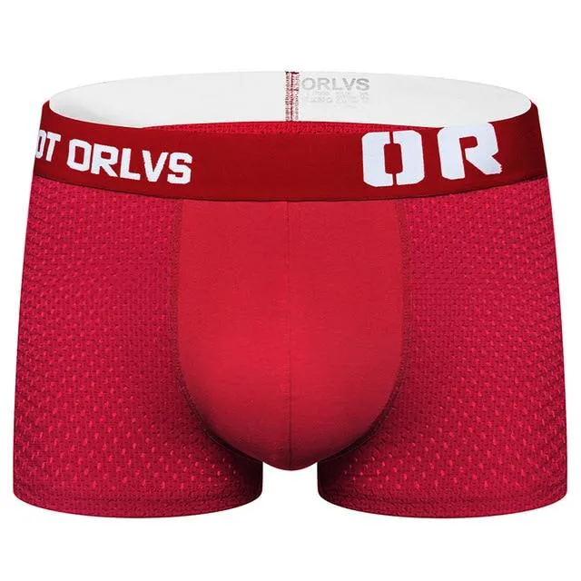 Got ORLVS Mesh Boxer Briefs