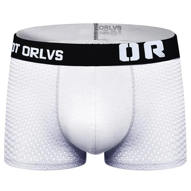 Got ORLVS Mesh Boxer Briefs