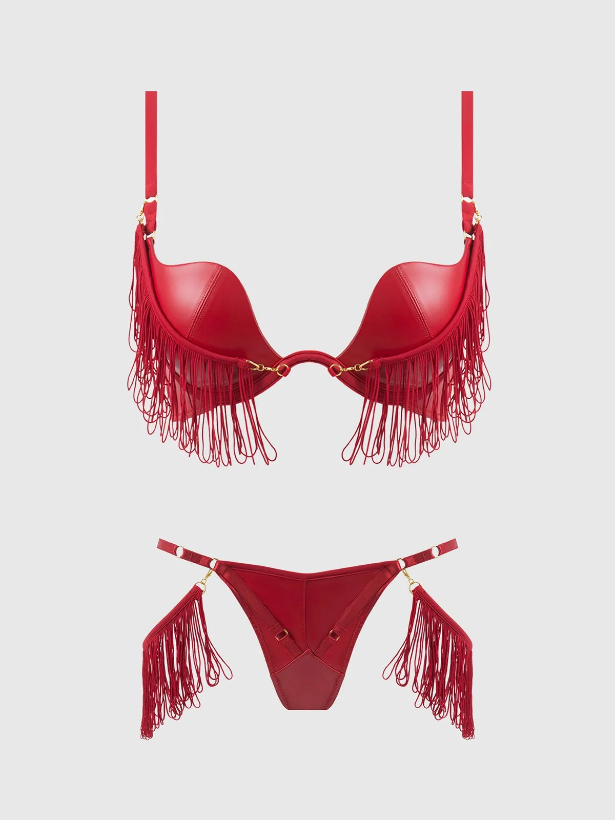 Like A Phoenix- Wet Look Bra Set- Available in Red or Black