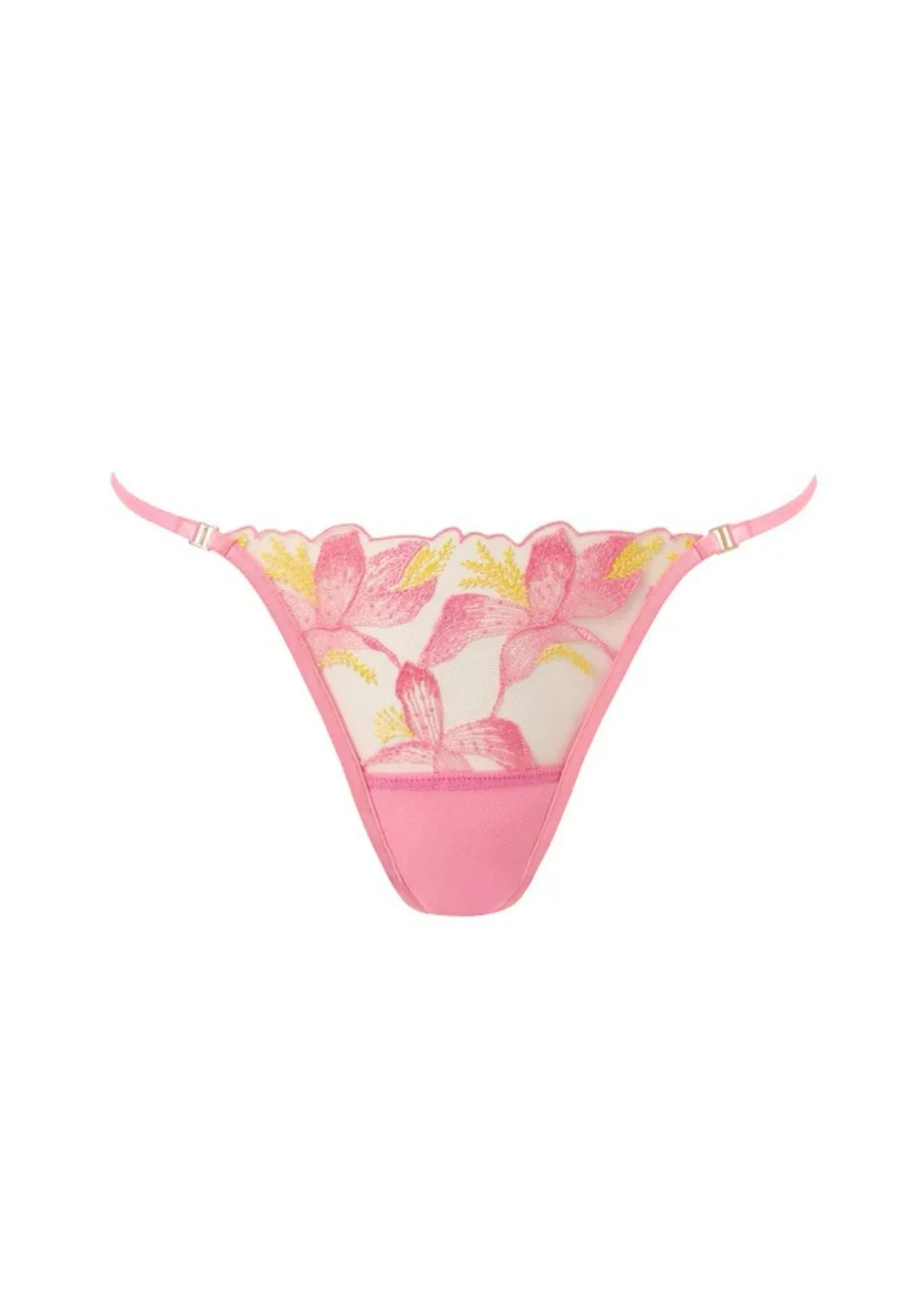 Patrice Panty (Dianthus Pink/Blazing Yellow)