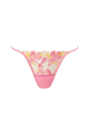 Patrice Panty (Dianthus Pink/Blazing Yellow)