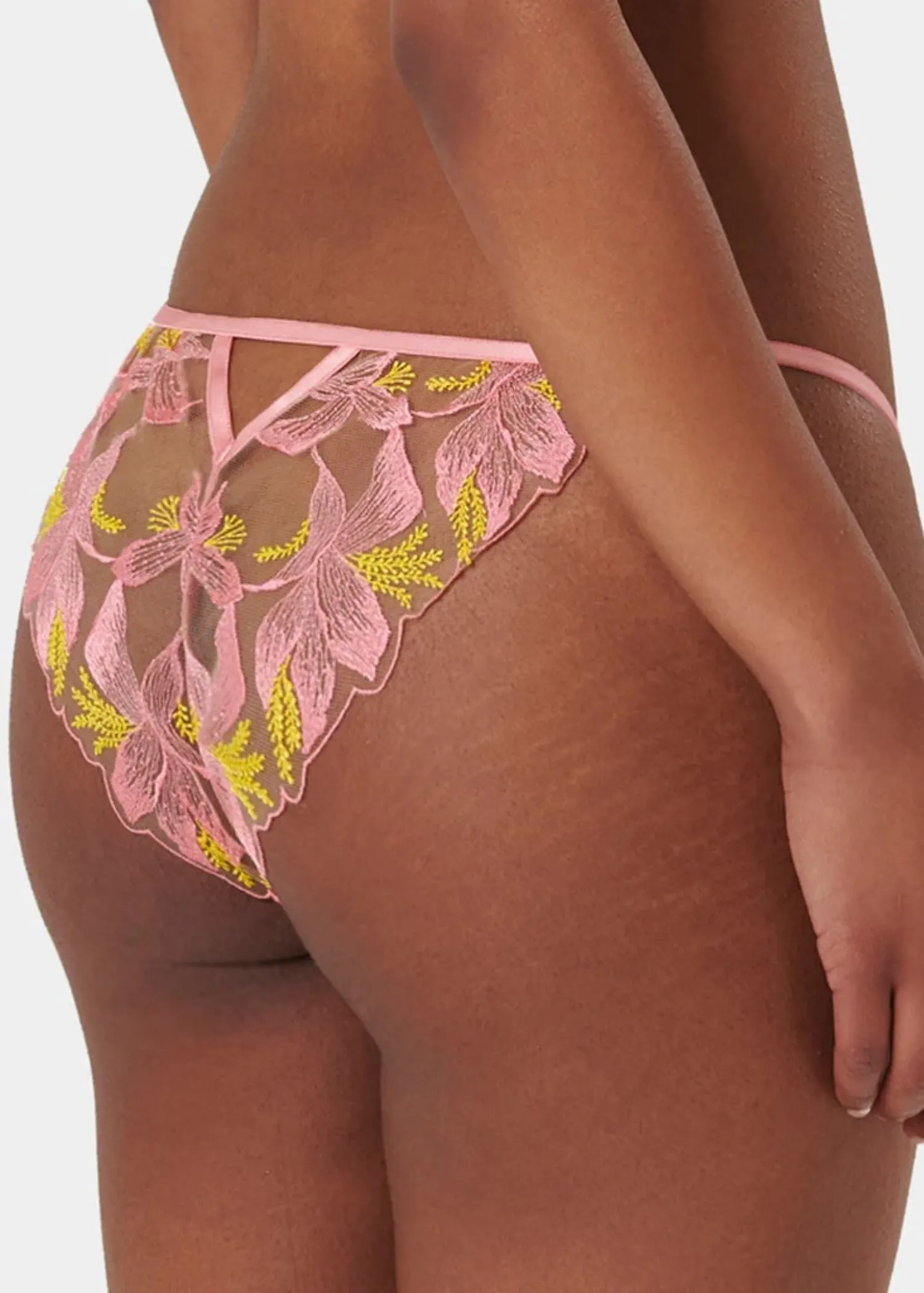 Patrice Panty (Dianthus Pink/Blazing Yellow)