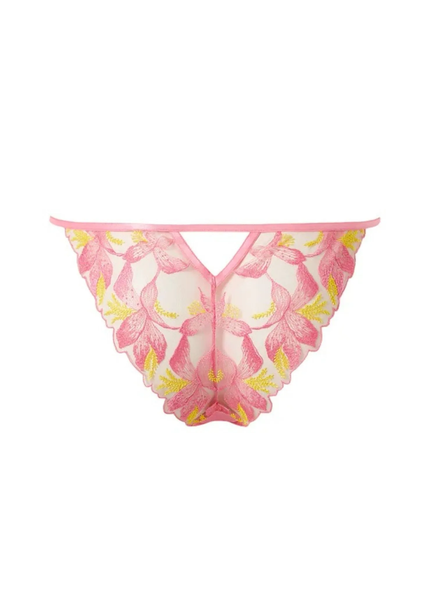 Patrice Panty (Dianthus Pink/Blazing Yellow)