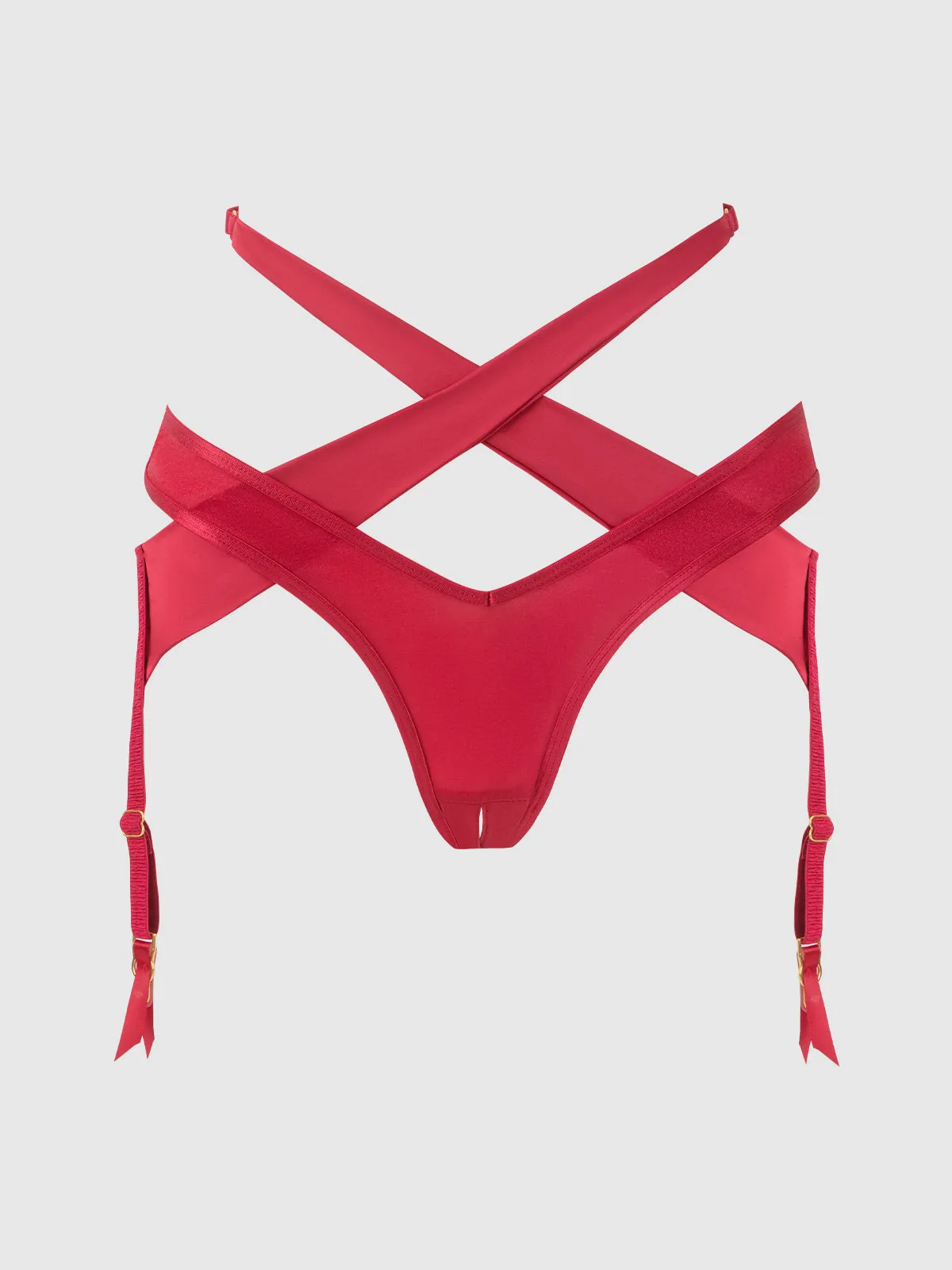 Pia Shine Mesh Open Crotch Tanga With Garters