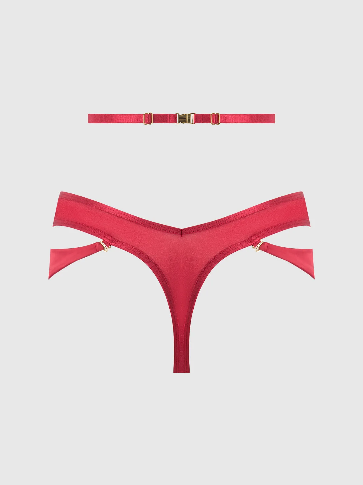 Pia Shine Mesh Open Crotch Tanga With Garters